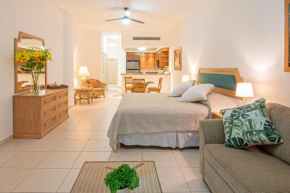 Lovely Oceanview Studio with Terrace- Playa Royale Nuevo Vallarta